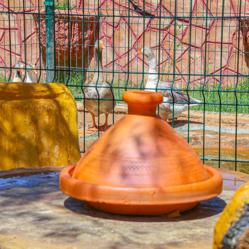 Hotel Jnane Riad Douar Akkara Ngoại thất bức ảnh